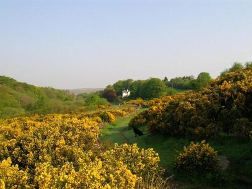 Lydgate House Hotel Postbridge Dış mekan fotoğraf